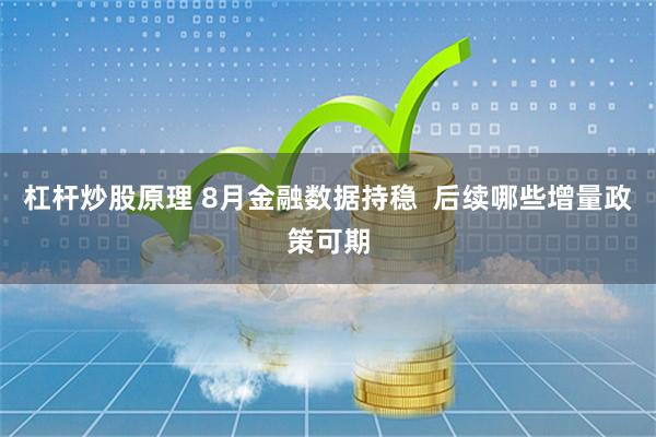 杠杆炒股原理 8月金融数据持稳  后续哪些增量政策可期