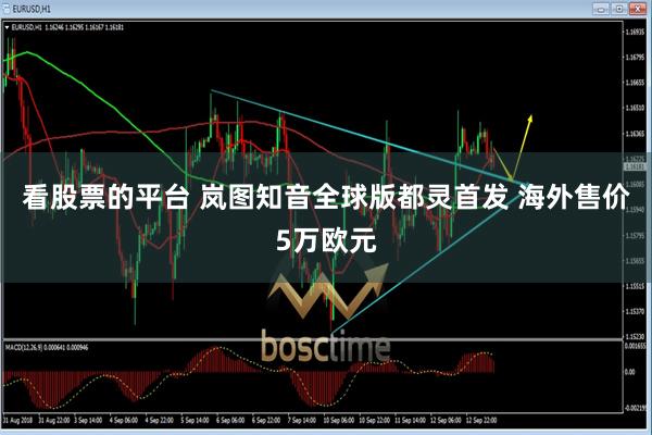 看股票的平台 岚图知音全球版都灵首发 海外售价5万欧元