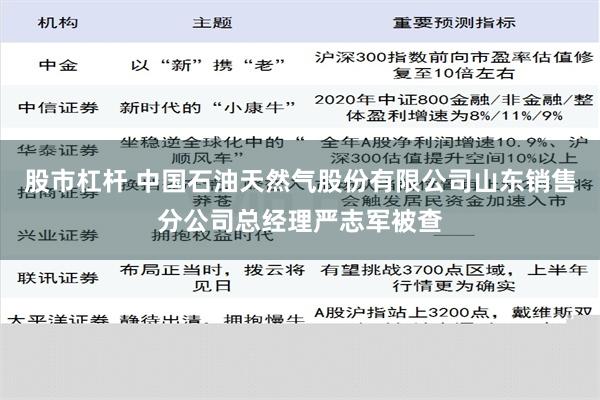 股市杠杆 中国石油天然气股份有限公司山东销售分公司总经理严志军被查