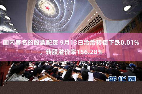 国内著名的股票配资 9月13日洽洽转债下跌0.01%，转股溢价率156.28%