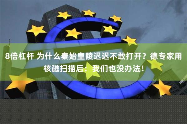 8倍杠杆 为什么秦始皇陵迟迟不敢打开？德专家用核磁扫描后：我们也没办法！