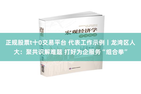 正规股票t十0交易平台 代表工作示例丨龙湾区人大：聚共识解难题 打好为企服务“组合拳”