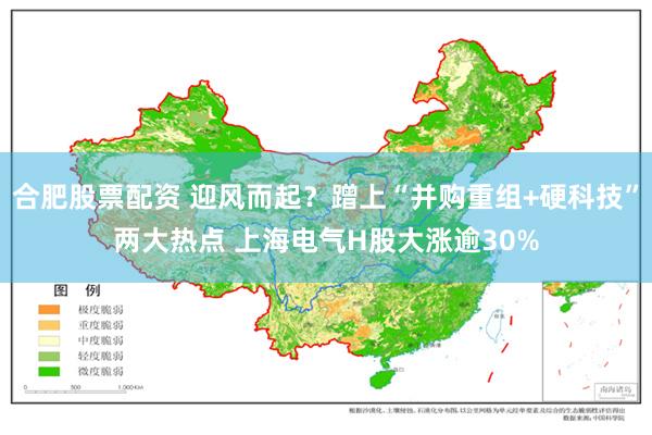 合肥股票配资 迎风而起？蹭上“并购重组+硬科技”两大热点 上海电气H股大涨逾30%