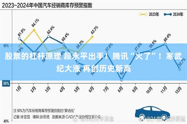 股票的杠杆原理 段永平出手！腾讯“火了”！寒武纪大涨 再创历史新高