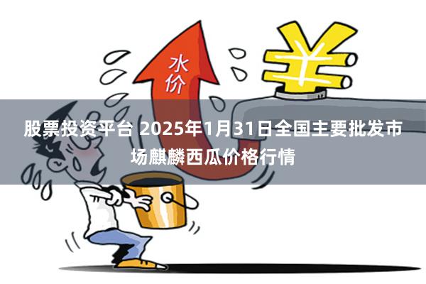 股票投资平台 2025年1月31日全国主要批发市场麒麟西瓜价格行情