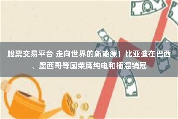 股票交易平台 走向世界的新能源！比亚迪在巴西、墨西哥等国荣膺纯电和插混销冠